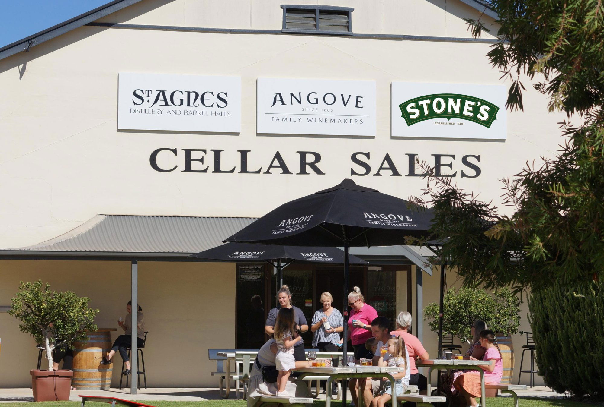 Angove Family Winemakers, Winery in Renmark