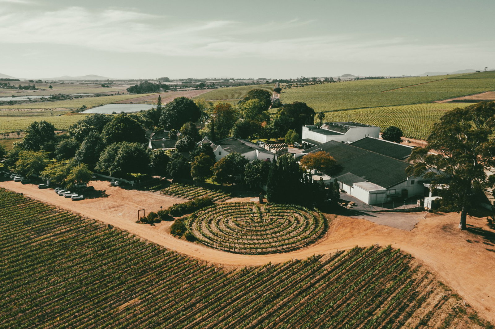 Simonsig Wine Estate
