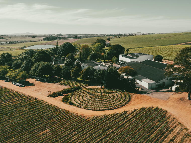 Simonsig Wine Estate, Stellenbosch, South Africa