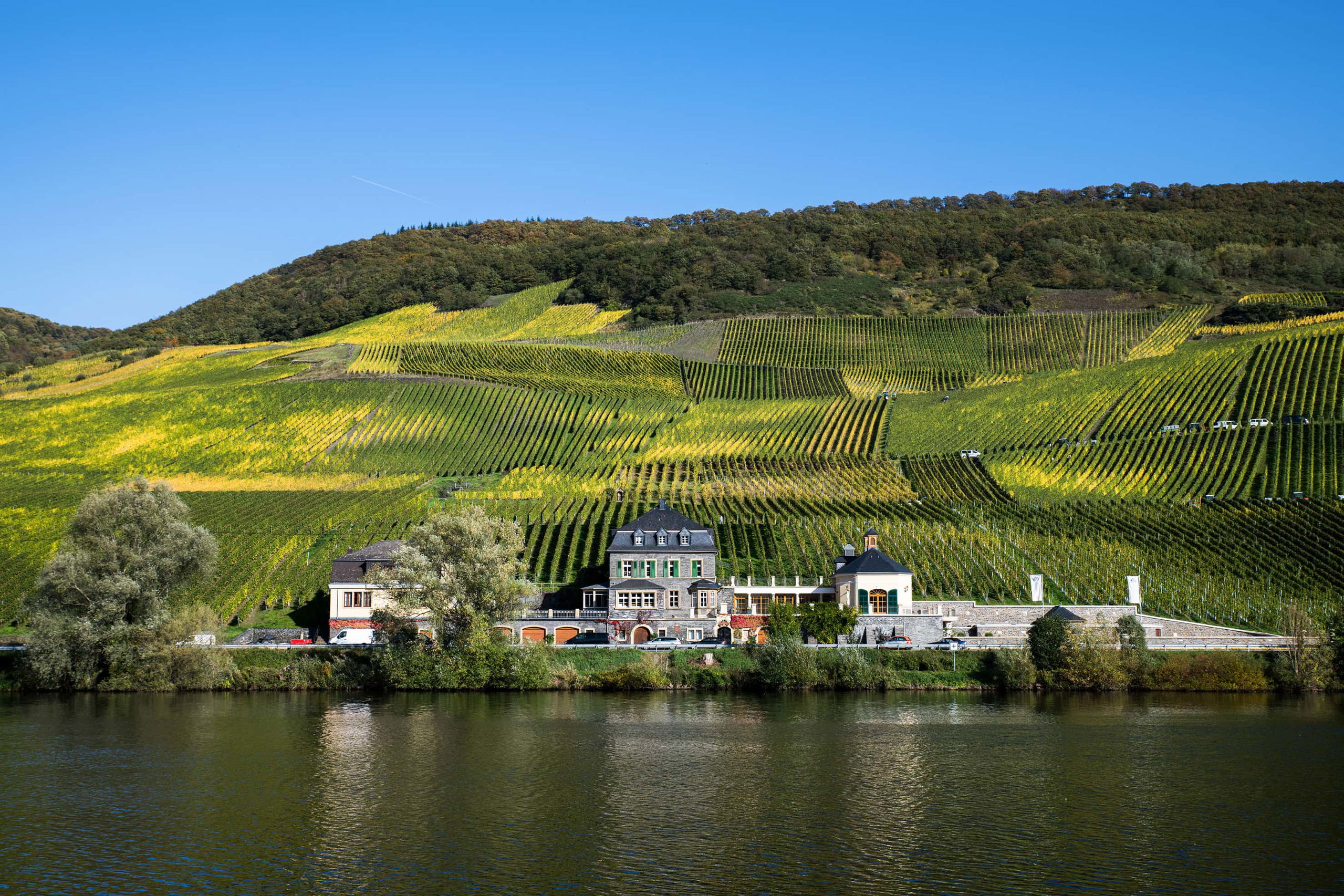 Weingut Dr. Loosen, Winery in Bernkastel-Kues