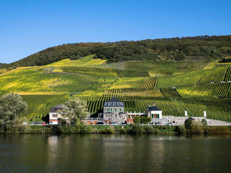 Weingut Dr. Loosen, Bernkastel-Kues, Germany