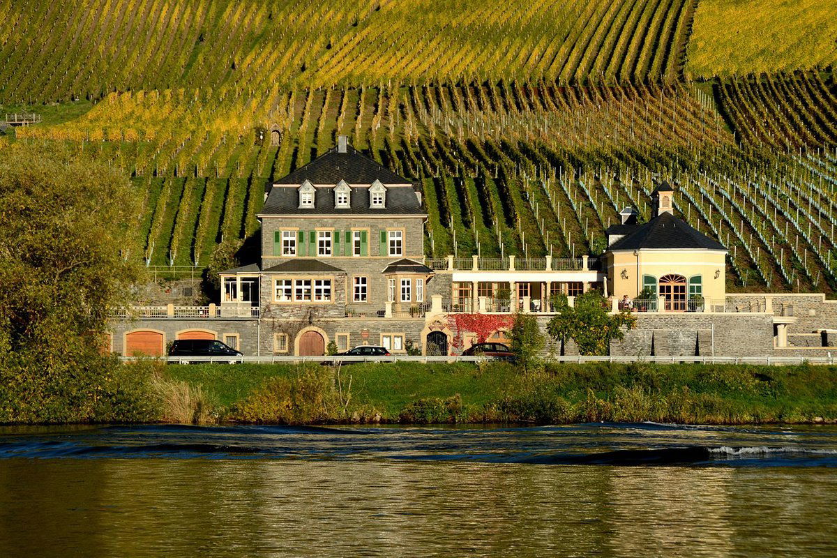 Weingut Dr. Loosen, Winery in Bernkastel-Kues