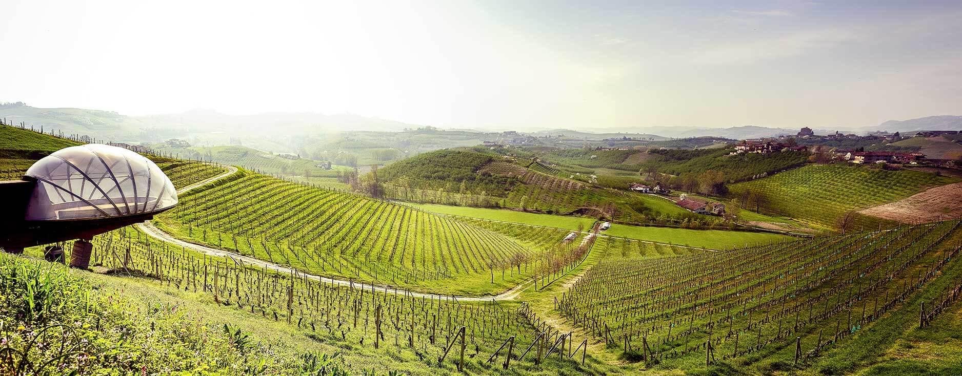 Ceretto, Winery in Alba