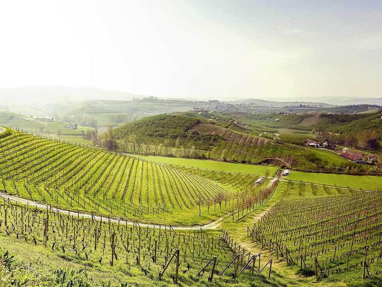 Ceretto, Alba, Italy