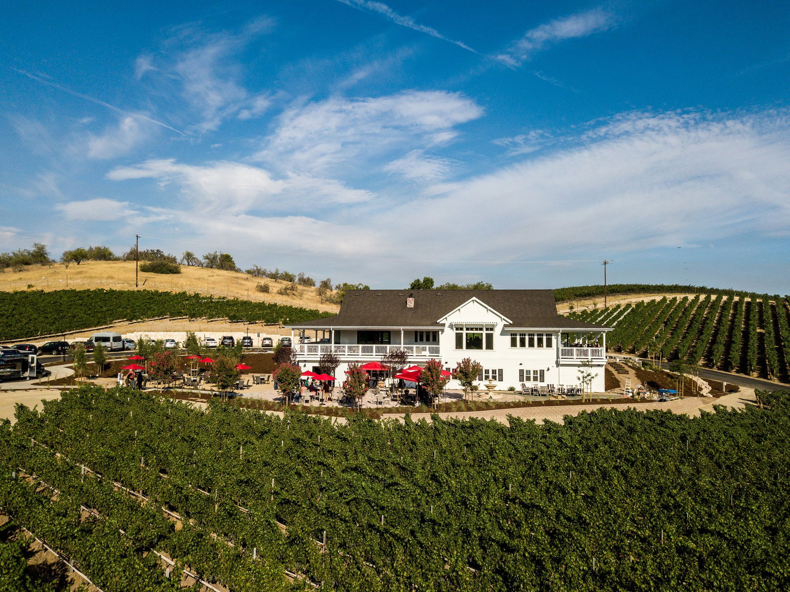 Parrish Family Vineyard