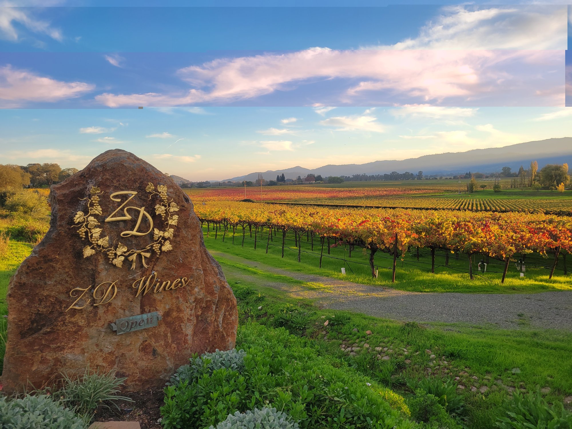 ZD Wines winery in Napa, United States