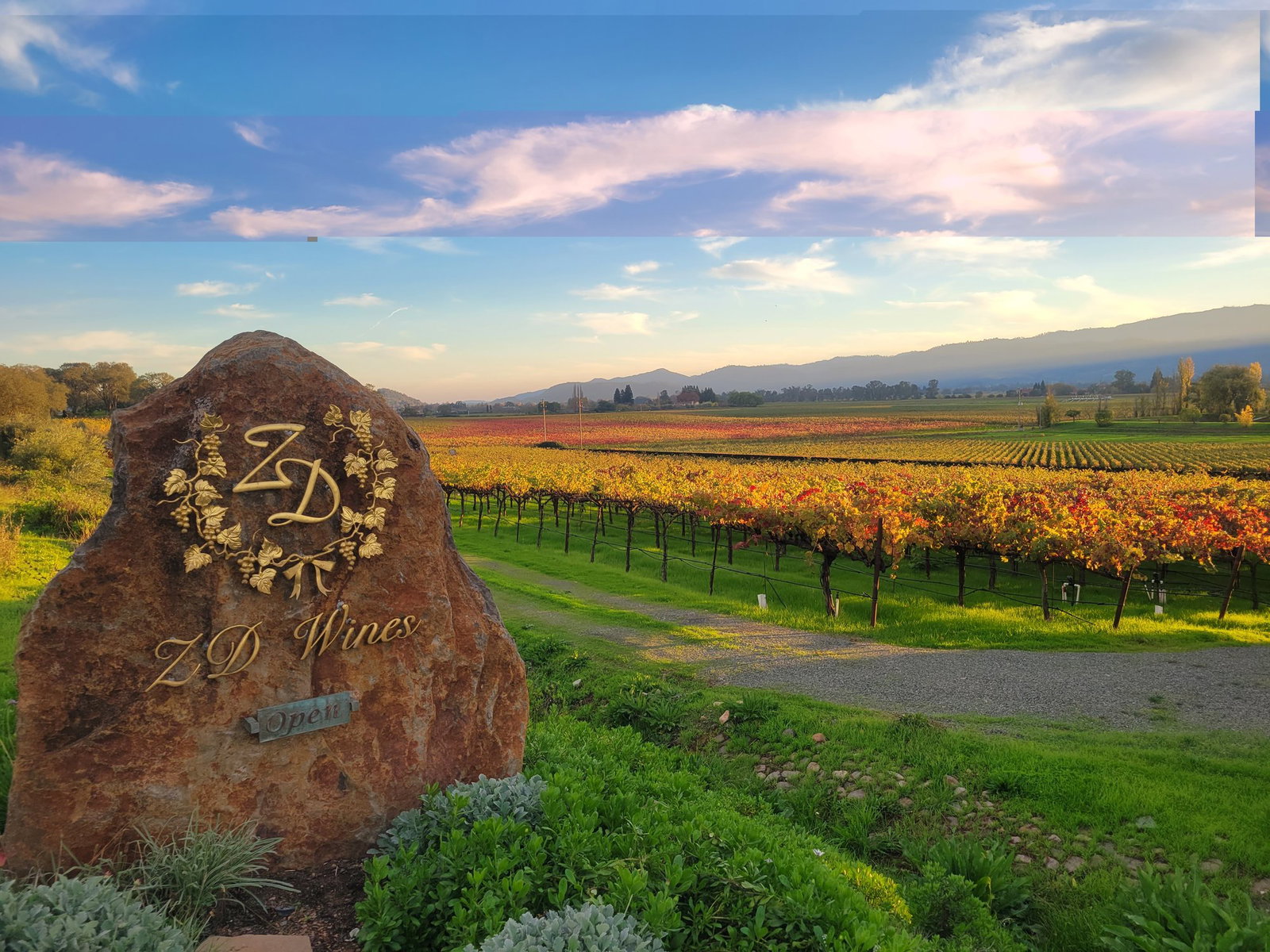 ZD Wines