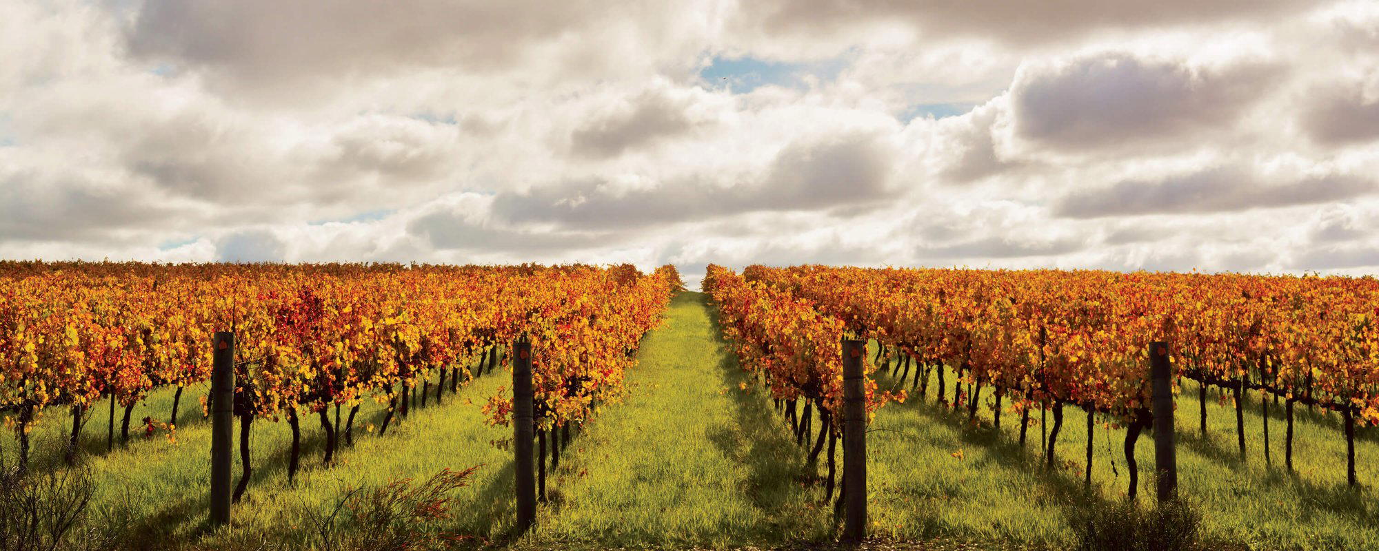 Frankland Estate, Great Southern, Australia