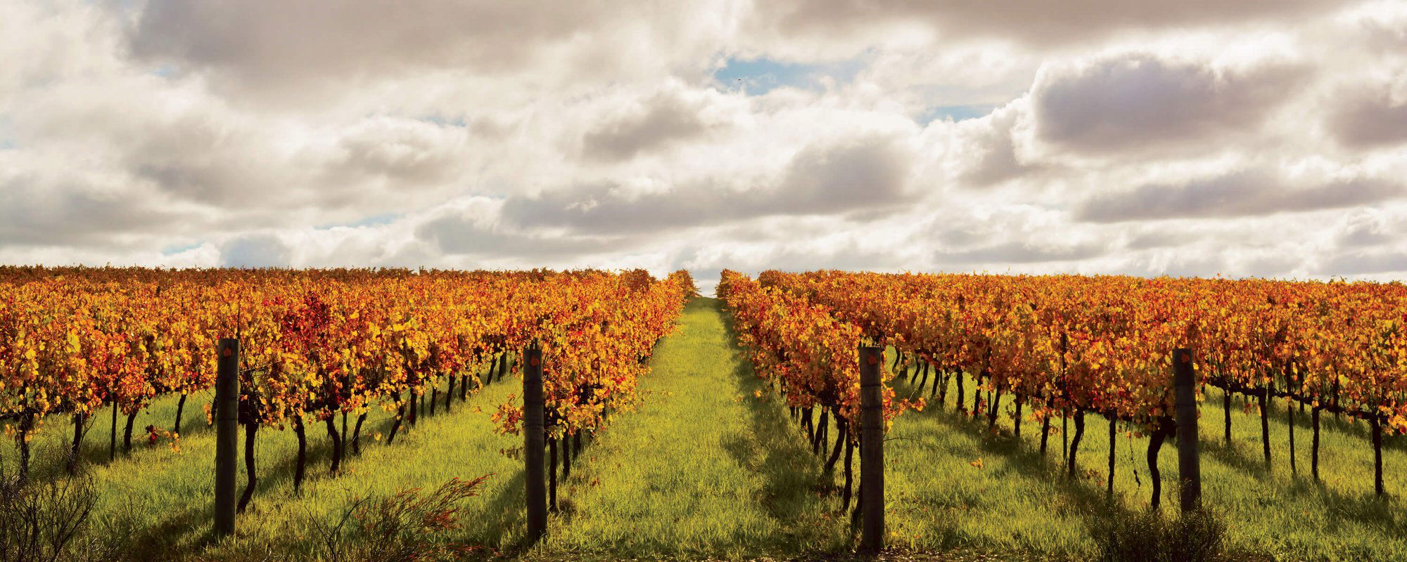 Frankland Estate, Winery in Great Southern