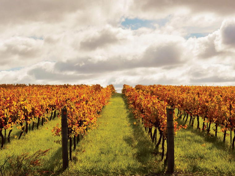 Frankland Estate, Great Southern, Australia
