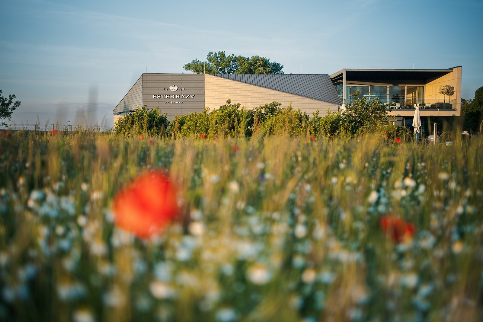 Esterházy Winery, Trausdorf, Austria