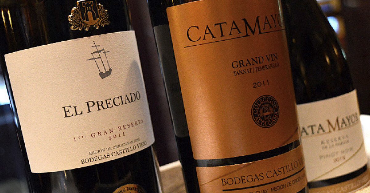Bodegas Castillo Viejo, Winery in San José