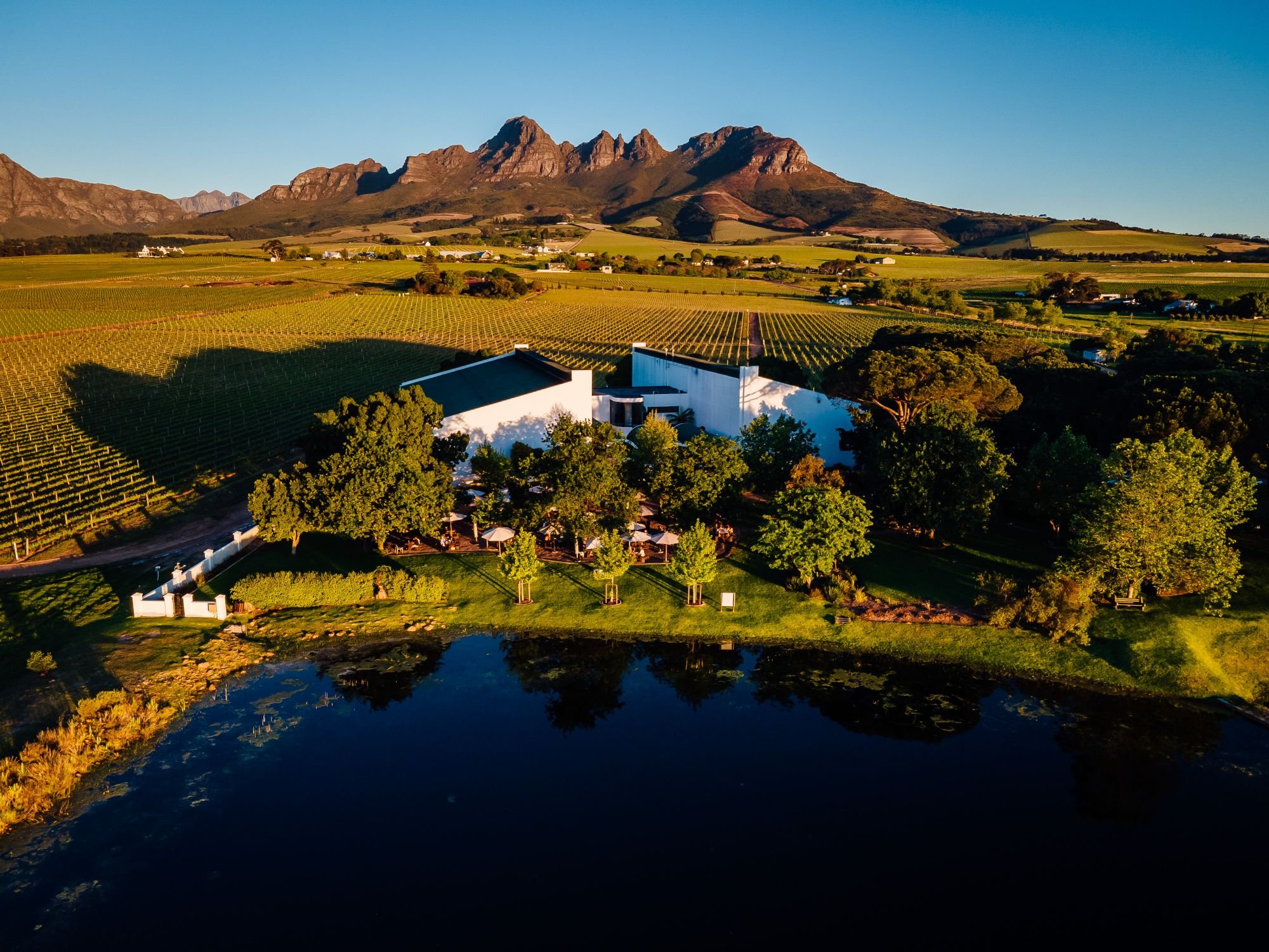 Eikendal Vineyards, Winery in Stellenbosch