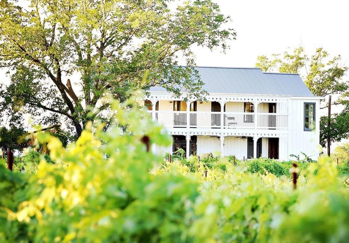 Signor Vineyards
