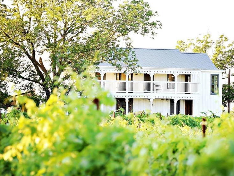 Signor Vineyards, Fredericksburg, United States