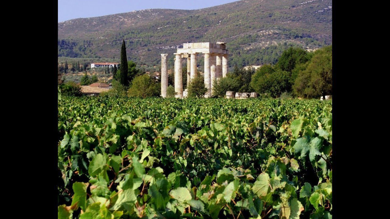 Papaioannou Vineyards winery in Nemea, Greece