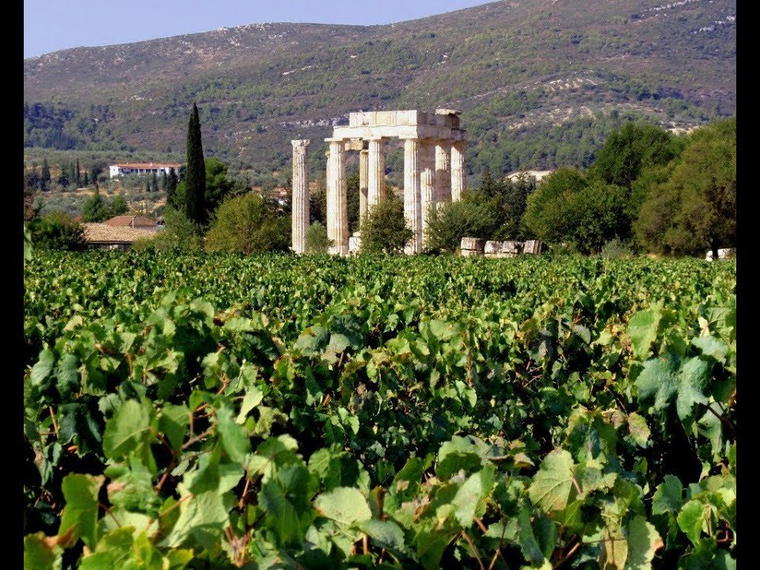Papaioannou Vineyards, Nemea, Greece