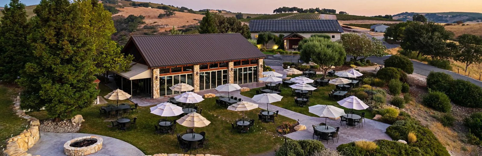 Calcareous Vineyard