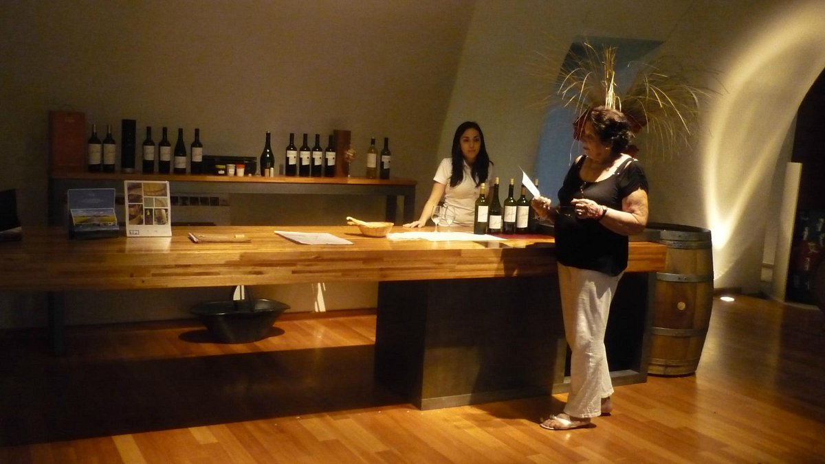 Bodega Malma (NQN) winery in San Patricio del Chañar, Argentina