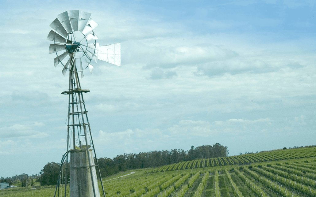 Bodega Marichal winery in Canelones, Uruguay