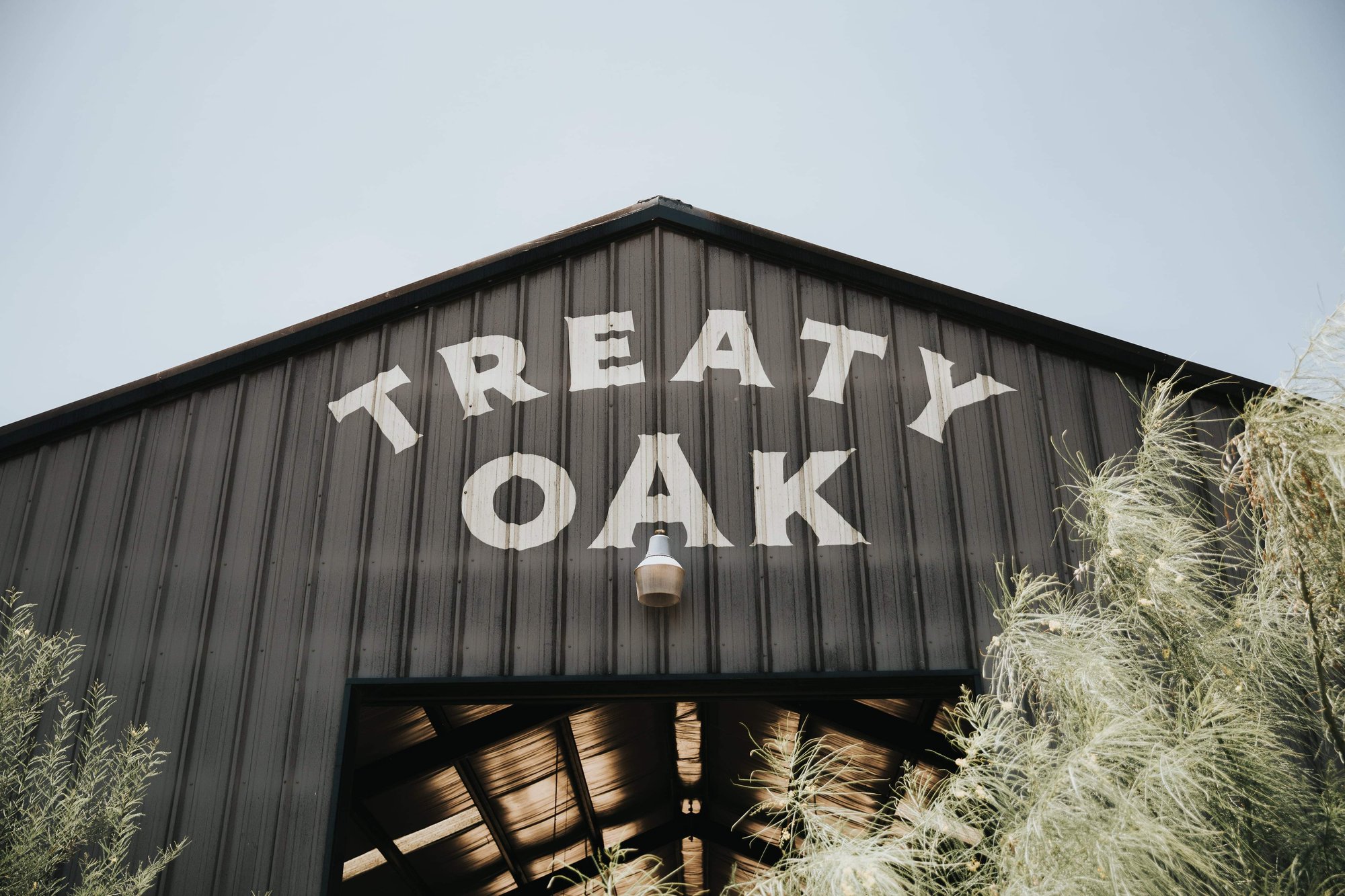 Treaty Oak Distilling winery in Dripping Springs, United States