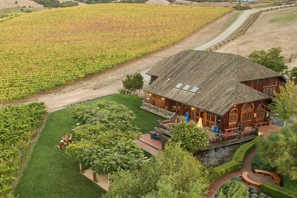 Navarro Vineyards winery in Philo, United States