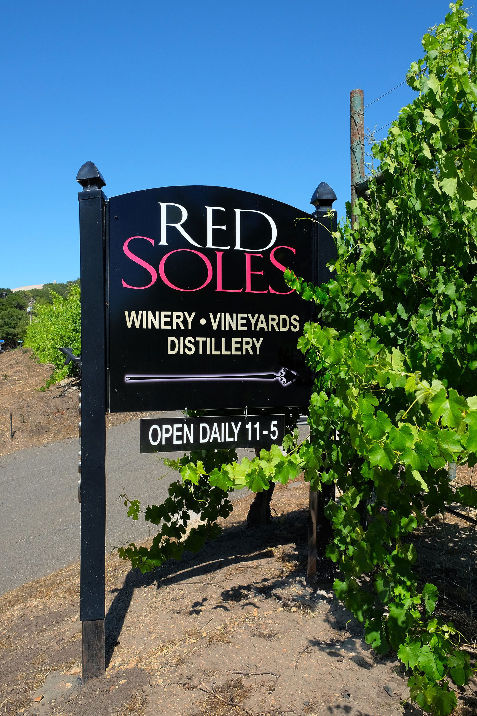 Red Soles Winery, Winery in Paso Robles
