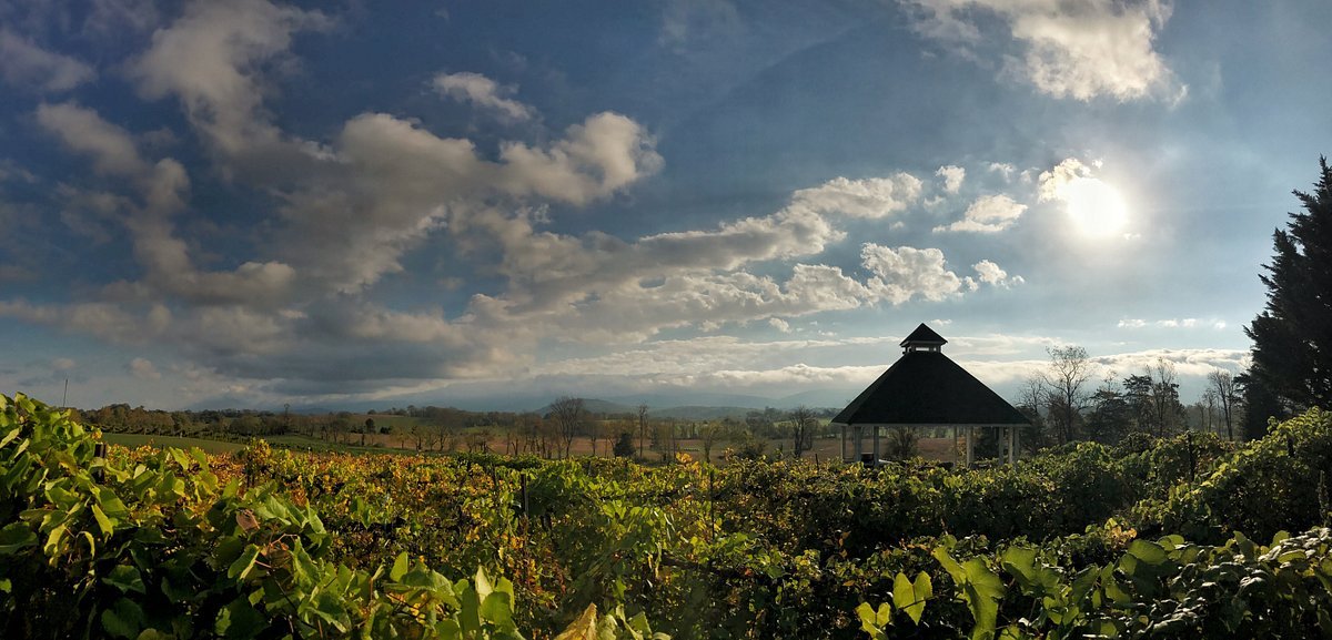 Veramar Vineyard
