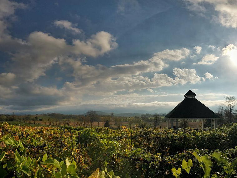 Veramar Vineyard, Berryville, United States