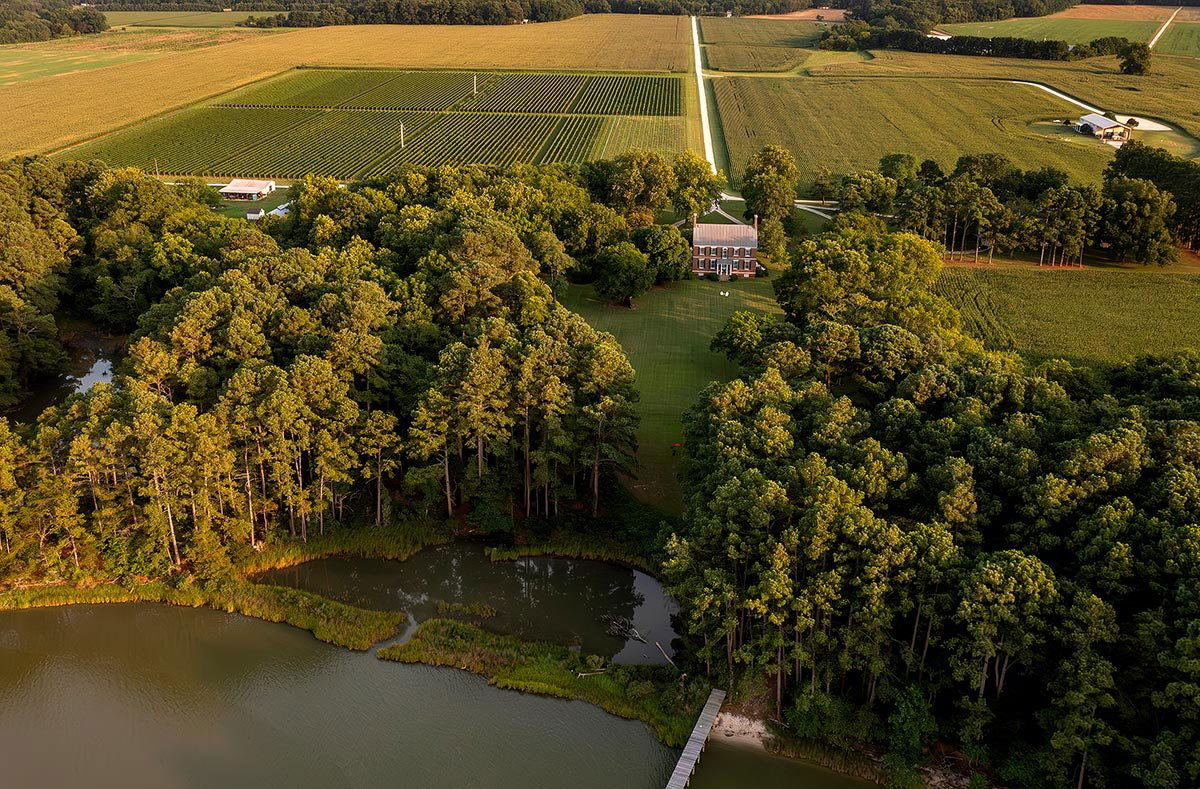 Chatham Vineyards on Church Creek, Winery in Machipongo