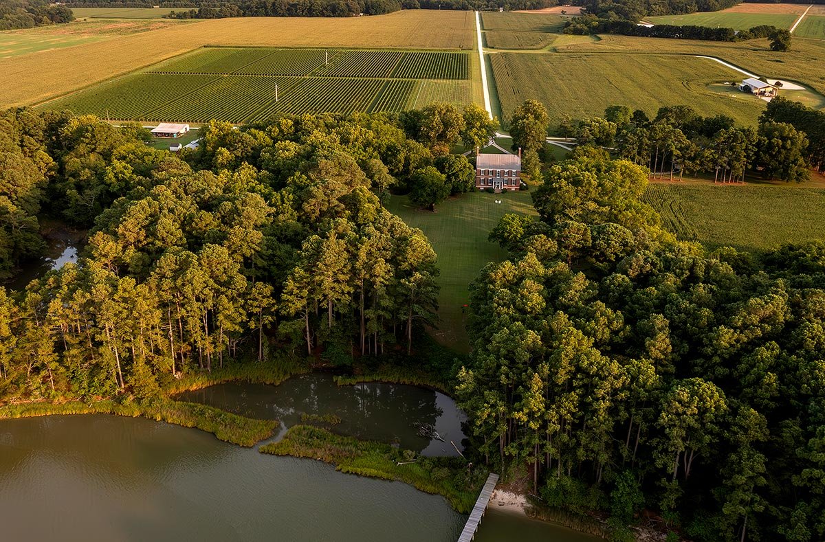 Chatham Vineyards on Church Creek, Machipongo, United States