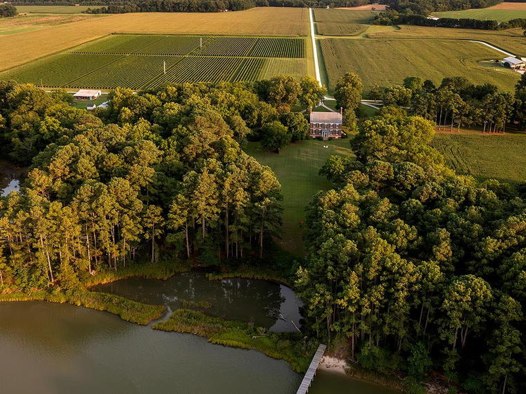 Chatham Vineyards on Church Creek, Machipongo, United States