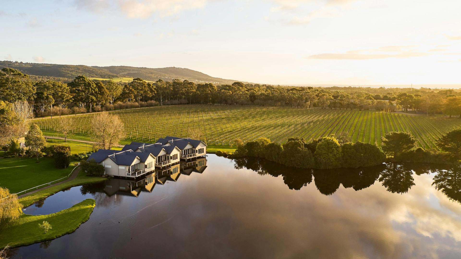 Crittenden Estate winery in Mornington Peninsula