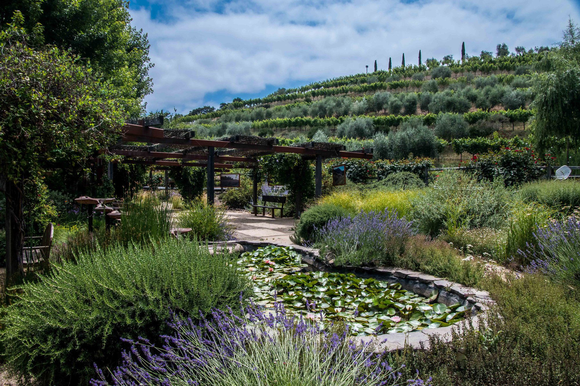 Benziger Family Winery, Winery in Glen Ellen