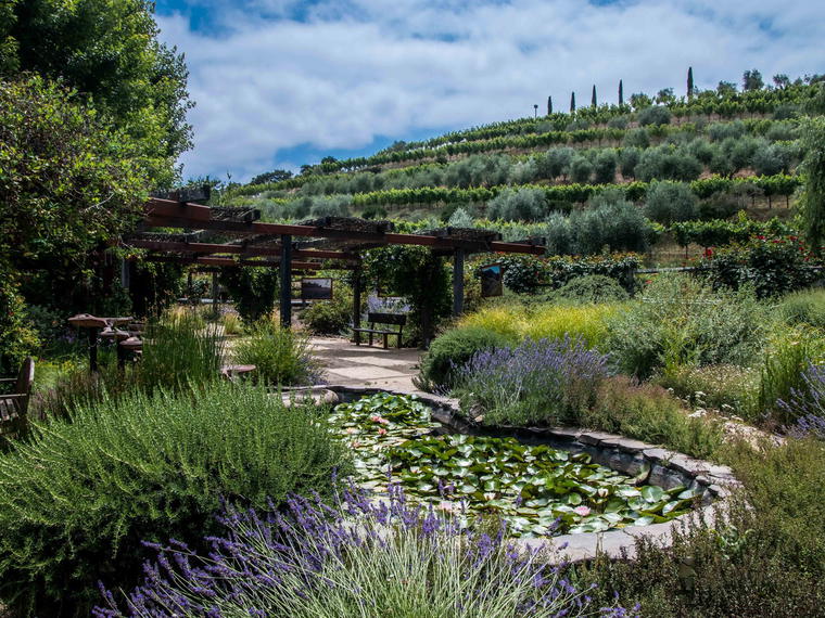 Benziger Family Winery, Glen Ellen, United States