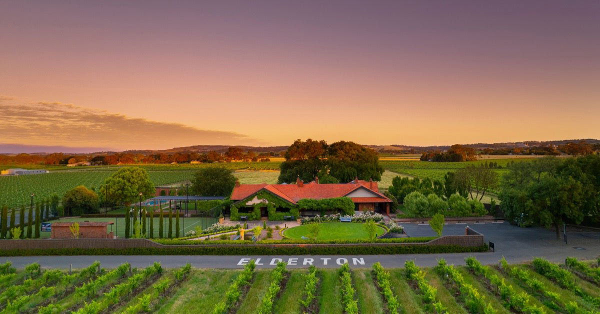 Elderton, Winery in Barossa Valley