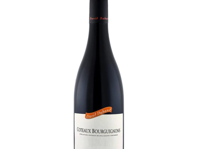 Domaine David Duband, Chevannes, France