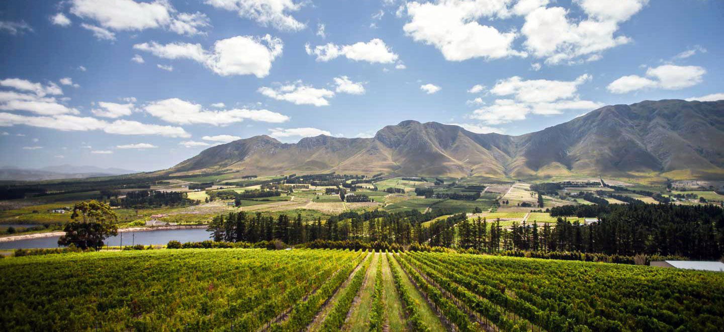 Newton Johnson Vineyards winery in Hermanus, South Africa