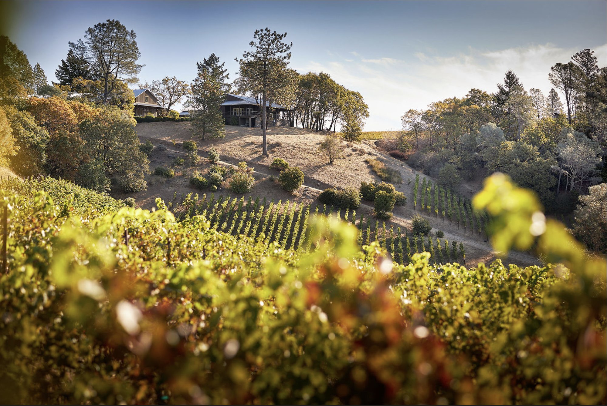 Outpost Wines, Angwin, United States