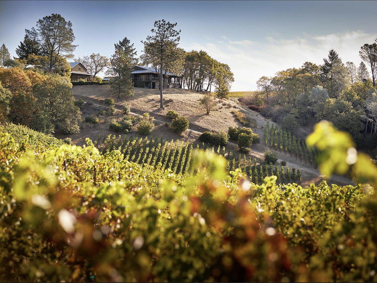 Outpost Wines, Angwin, United States