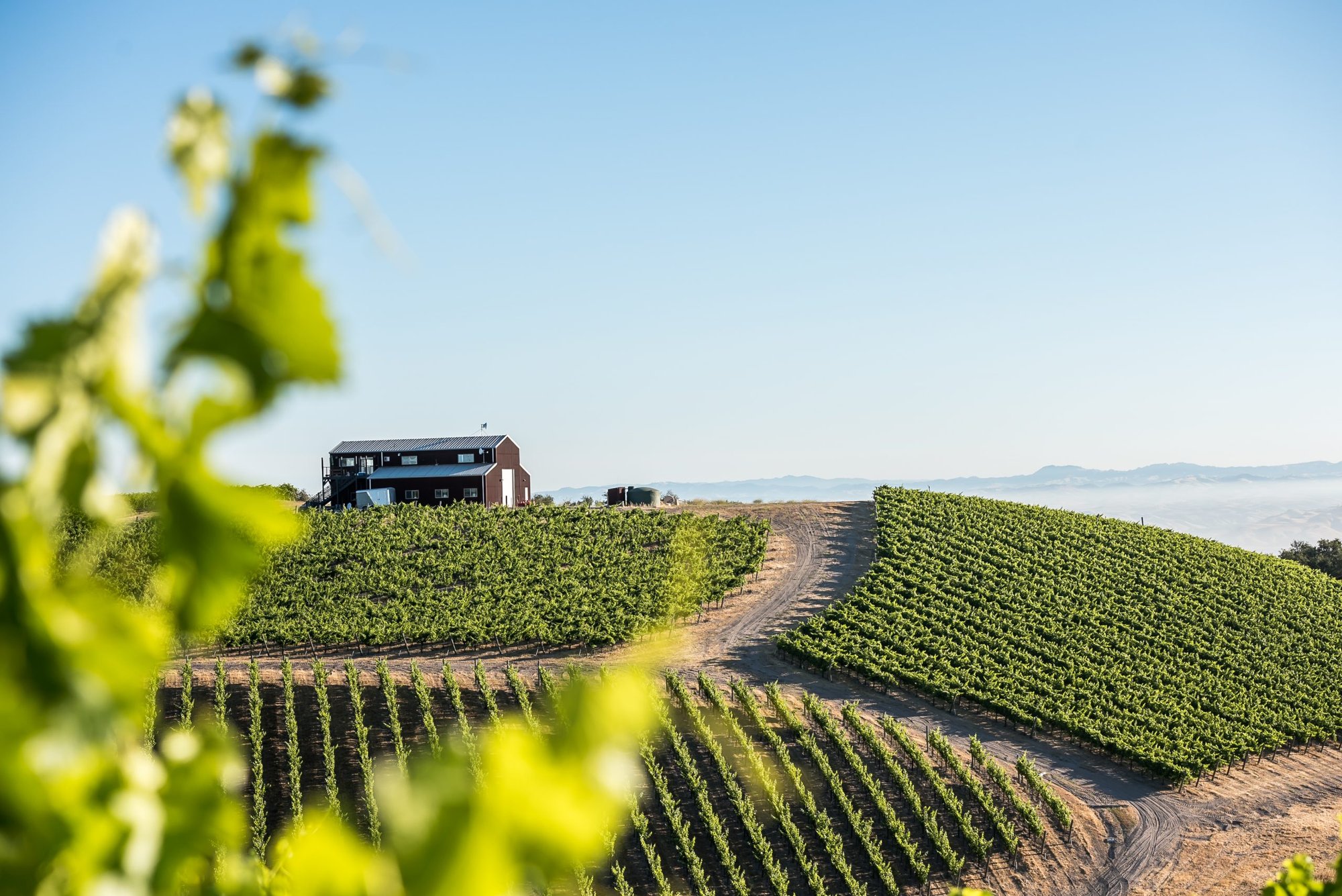 Alta Colina winery in Paso Robles, United States