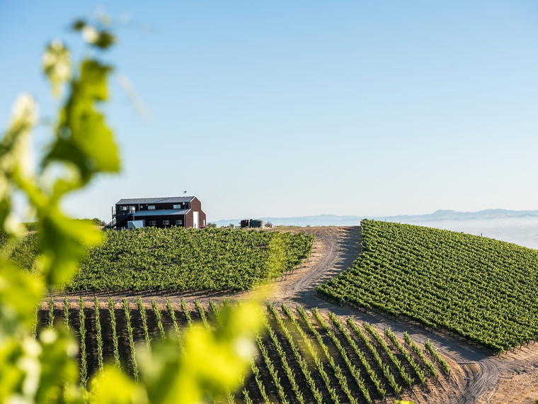 Alta Colina, Paso Robles, United States
