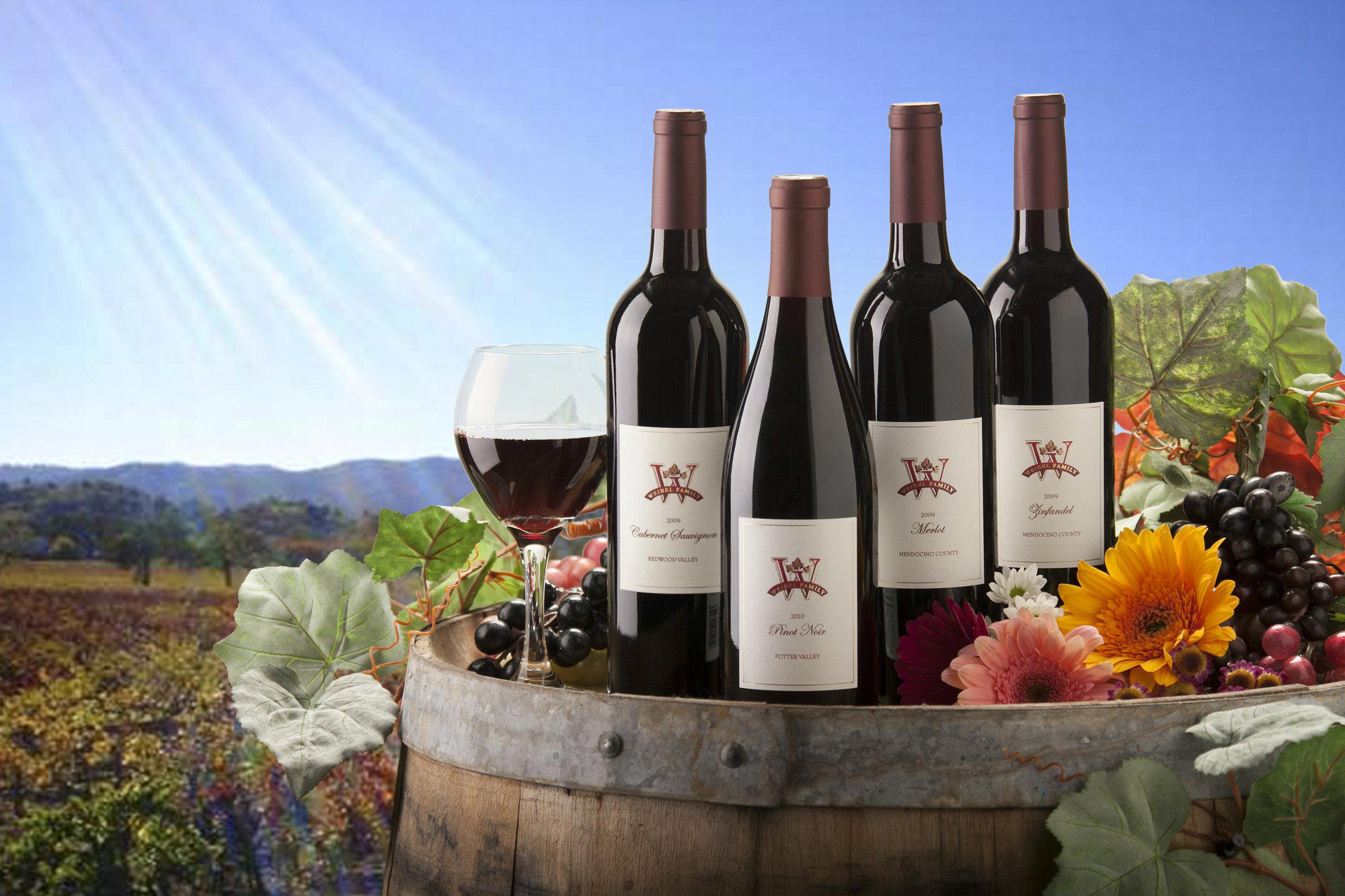 Weibel Family Vineyards & Winery winery in Hopland, United States