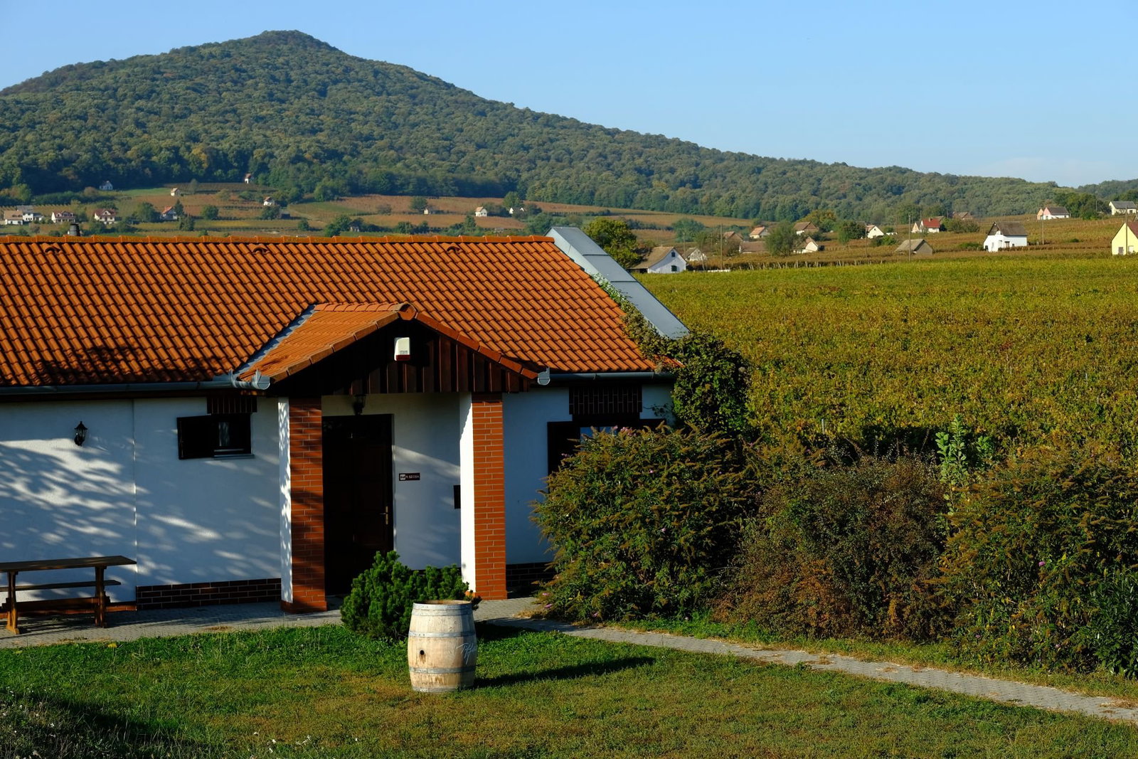 Tiffán Ede Winery