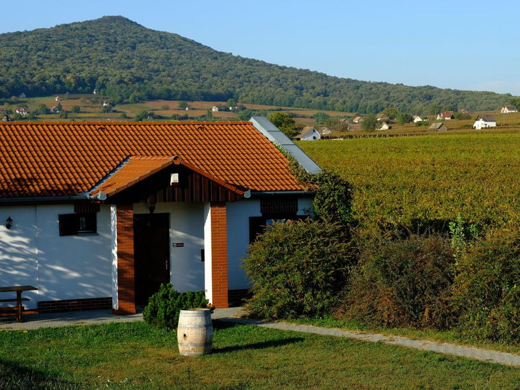 Tiffán Ede Winery, Villány, Hungary