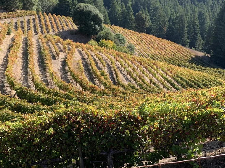Boonville Road Wines, Hopland, United States