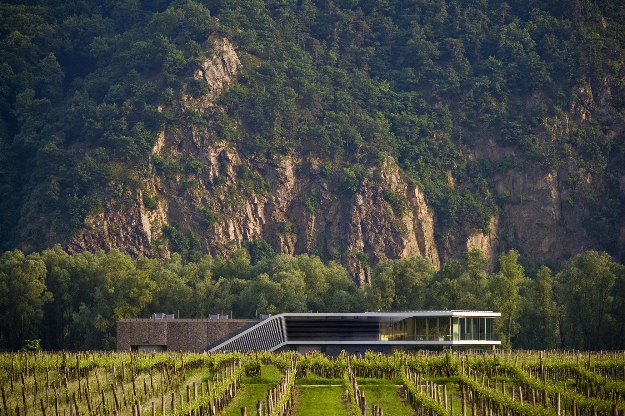 Weingut F. X. Pichler, Winery in Dürnstein