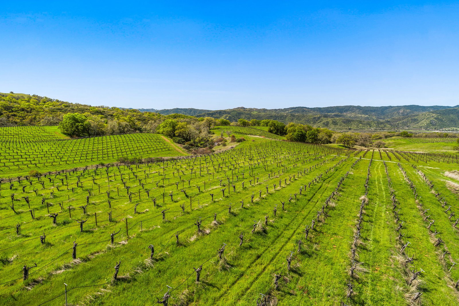Eaglepoint Ranch, Redwood Valley, United States