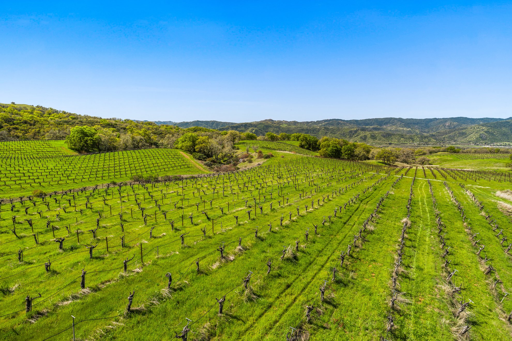 Eaglepoint Ranch winery in Redwood Valley, United States