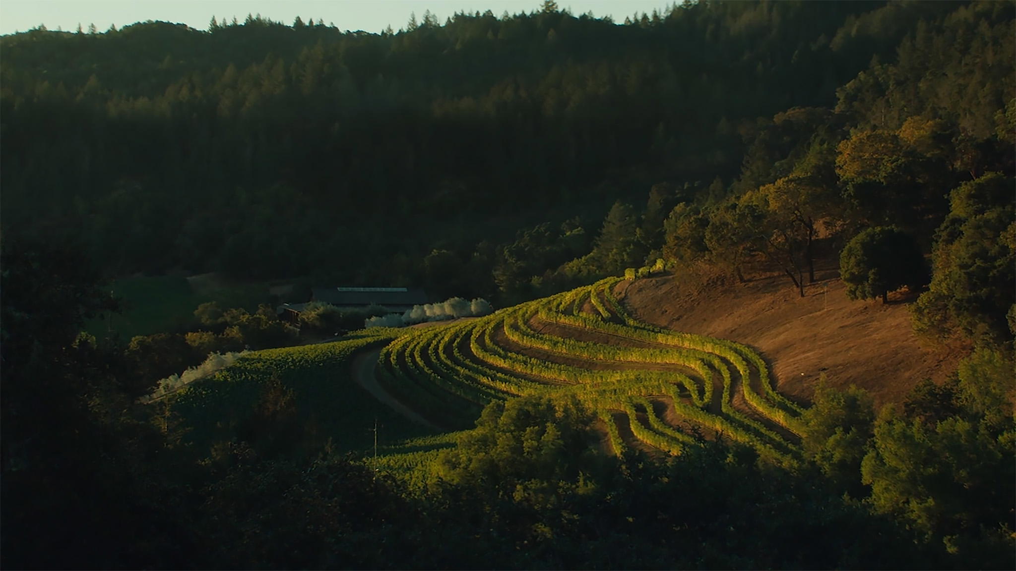 Futo Estate winery in Oakville